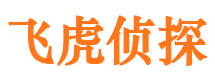 洪洞寻人公司